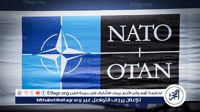 نائب أمين عام 