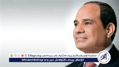 السيسي: مصر تحذر من المخطط الإسرائيلي لتنفيذ عملية برية برفح (فيديو)