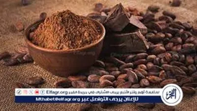  ارتفاع هائل في أسعار الكاكاو يهدد صناعة الشوكولاتة عالميًا