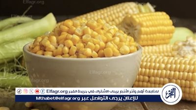 تأثير قرار رأس الحكمة على أسعار الذرة الصفراء: ارتفاع جديد وتغييرات في الأسواق