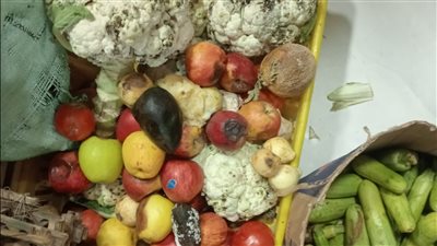  مراقبة الأغذية تكثف حملاتها بالمرور على 232 منشأة بالدقهلية وتغلق 65 منها لخطورتها 