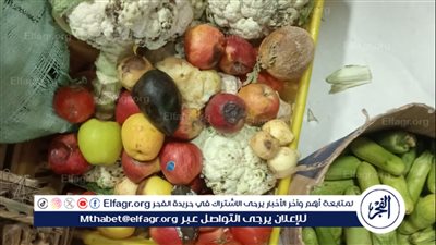 مراقبة الأغذية تكثف حملاتها بالمرور على 232 منشأة في الدقهلية