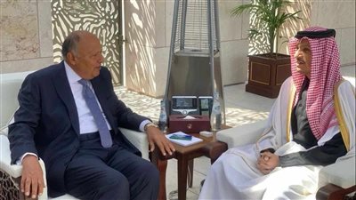 وزير الخارجية سامح شكري يعقد اجتماعا ثنائيا مع رئيس مجلس الوزراء وزير خارجية دولة قطر