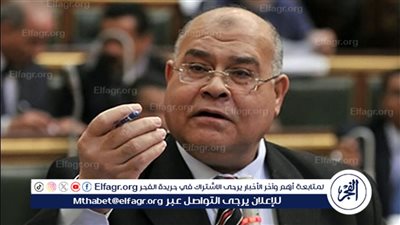 كيف يمكن ضبط أسعار السلع والمنتجات؟.. رئيس حزب الجيل يجيب