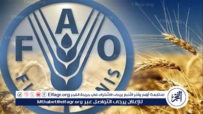 مستشار وزير الزراعة: منظمة الفاو تشيد بتحقيق مصر الأمن الغذائي