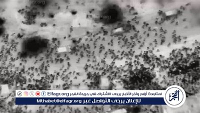 عاجل - أخبار فلسطين.. رد رسمي إسرائيلي بشأن حادث ضحايا المساعدات في دوار النابلسي