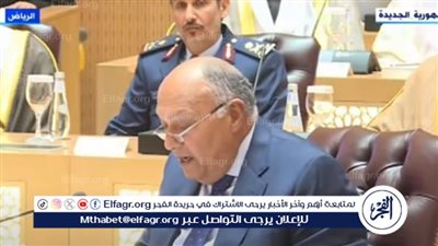 سامح شكري: الحرب الإسرائيلية شديدة الدموية ضد الأشقاء في فلسطين