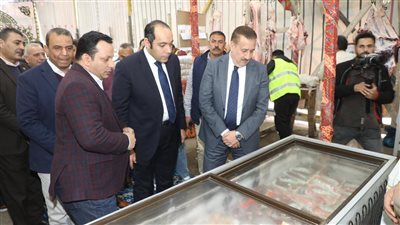 محافظ المنوفية يفتتح معرض 