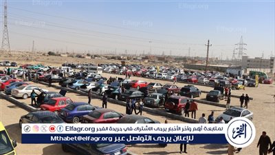 خبير يكشف تفاصيل تراجع أسعار السيارات الجديدة والمستعملة (فيديو)