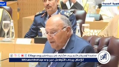 وزير الخارجية: نتطلع لمزيد من التعاون والتنسيق مع هولندا (فيديو)