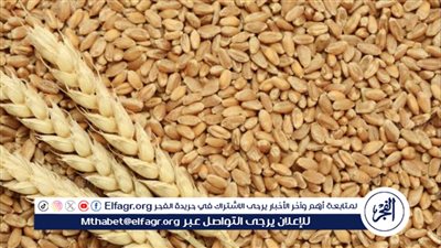 أحمد موسى يكشف عن تفاصيل جديدة حول أسعار توريد القمح لهذا العام