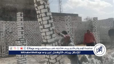 حملات لإزالة التعديات على الأراضي الزراعية والبناء المخالف بالعامرية في الإسكندرية