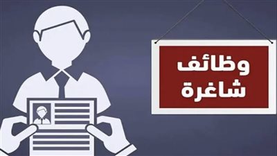 الإعلان عن نتائج مسابقة البريد المصري 2024: خطوات بسيطة للاستعلام