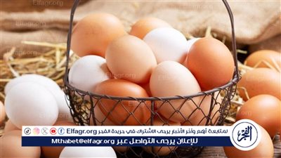 شوف الأسعار رايحة فين.. سعر كرتونة البيض اليوم الإثنين 4 مارس في الأسواق والمحلات