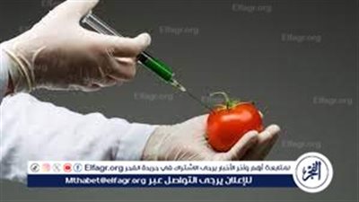 الهندسة الوراثية والزراعة المستدامة: جمع بين التكنولوجيا الهندسة الوراثية والزراعة المستدامة: جمع بين التكنولوجيا وتلبية احتياجات المستقبلاحتياجات المستقبل