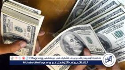 استقرار سعر الدولار أمام الجنيه المصري في البنوك 