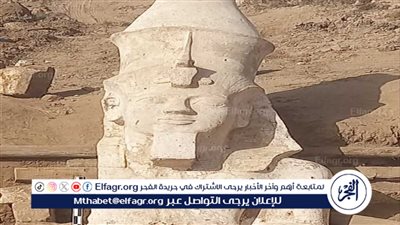 خبير أثري: الجزء المكتشف من تمثال رمسيس الثاني بالمنيا يؤكد سيطرته على حكمه