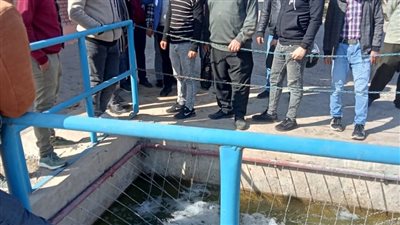 صحة الدقهلية: انتهاء التدريبات الميدانية للمراقبين الصحيين (صور)