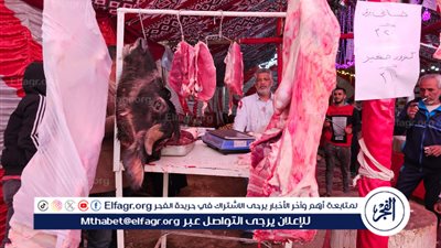 أسعار اللحوم بعد التعاقد على 20 ألف رأس ماشية من جيبوتي.. السوق يستعد لشهر رمضان