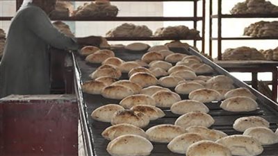 رئيس شعبة المخابز يكشف تفاصيل جديدة بشأن انخفاض أسعار 