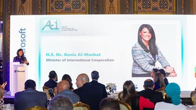 وزيرة التعاون الدولي: 10 مليار دولار حجم تمويلات القطاع الخاص 