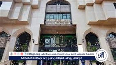 خبير: قرارات البنك المركزي خطوة حيوية لدعم الاقتصاد المصري وتعزيز جاذبية الجنيه