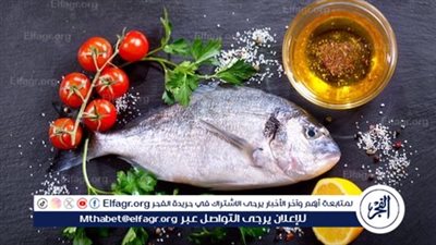 أهمية تناول الأسماك: فوائد صحية مذهلة تستحق الاهتمام 