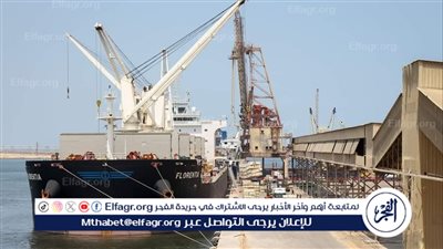 ميناء دمياط: وصول رصيد صومعه القمح إلى 48114 طنًا في مخازن القطاع الخاص