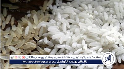بكام يا أبيض.. سعر الأرز والدقيق في الأسواق المصرية