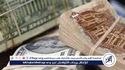 سعر الدولار في مصر اليوم: المركزي والسوق السوداء