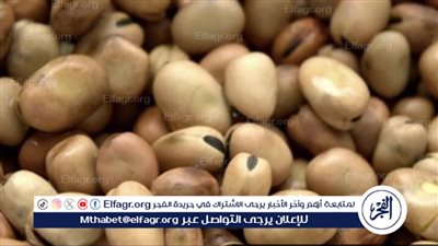 سعر الفول البلدي والمستورد في مصر اليوم