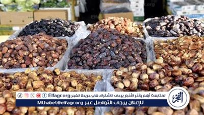 التمر يبدأ من 40 جنيه.. تعرف على أسعار الياميش في أسواق ومعارض تخفيض السلع وأهلا رمضان بمحافظة قنا