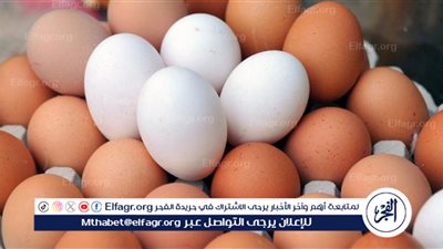 بكام النهاردة؟.. سعر كرتونة البيض اليوم الخميس 7 مارس 2024 في الأسواق والمحلات
