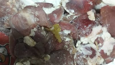 بيطري قنا يضبط 65 كجم لحوم فاسدة قبل بيعها بالأسواق