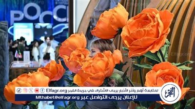 هولندا وكولومبيا والإكوادور تتصدر قائمة تصدير الزهور بالعالم