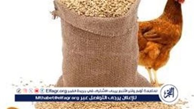 لا تفوت الفرصة.. تراجع أسعار العلف اليوم الجمعة 8 مارس - اشتري الآن واحفظ لموسم الربيع