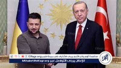 أردوغان وزيلنسكي يتفقان على تأمين سفن نقل الحبوب