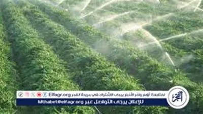 اعرف.. ما أنواع الري؟