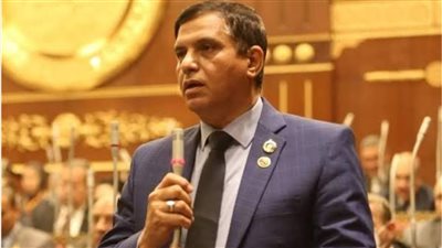 أمين عام حماة الوطن: يوم الشهيد تأكيدا على تضحيات قواتنا المسلحة في السلم والحرب