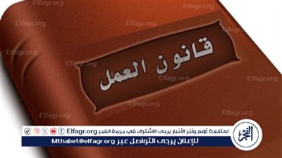 محام: مشروع قانون العمل الجديد يوفر الحماية للأطفال ويضمن سلامتهم