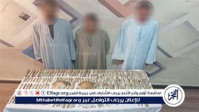 حبس تشكيل عصابي بحوزتهم 437 قطعة أثرية في بني سويف (صور)