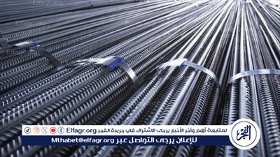 استقرار أسعار الحديد في السوق المصرية بتاريخ 10 مارس 2024
