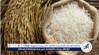 قفزة جديدة لـ سعر كيلو الأرز اليوم في الأسواق التجارية