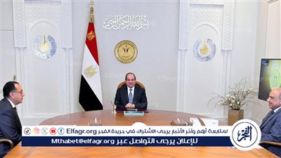 عاجل| السيسي يصدر توجيهات جديدة لوزير قطاع الأعمال