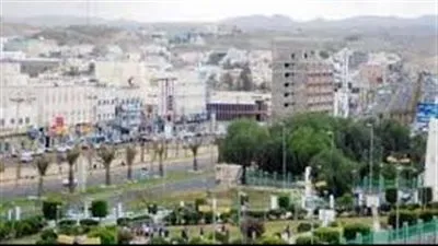 بعد تصدرها التريند.. ماذا تعرف عن منطقة خميس مشيط بالسعودية؟