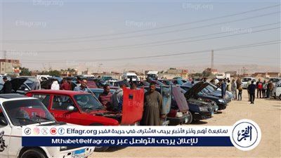 سوق السيارات المستعملة ببني سويف يستقبل 750 سيارة خلال التشغيل التجريبي