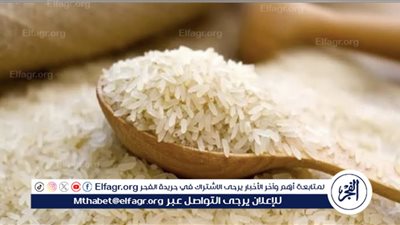 عاجل:- البنك المركزي المصري يمد استثناء الغطاء النقدي لاستيراد السلع الأساسية