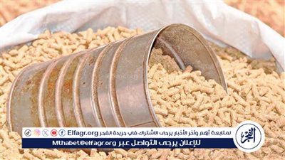 تحديث مفاجئ.. ارتفاع غير متوقع في أسعار العلف اليوم الثلاثاء 12 مارس
