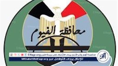  غاز الفيوم تطمئن المواطنين من الرائحة المنتشرة في الجو 