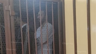 الإعدام شنقا لقاتل شقيقته العروس ببورسعيد